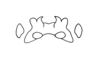 Adelotettix collaris (Bruner, 1908): Fig. 186. epiphallus, dorsal view. (Otu).