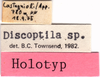 CollectionObject 1543087; e9bad412-8db4-4928-8e1a-95a2dc47c040: labels (holotype). (CollectionObject).