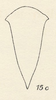 Habitus, dorsal view on Darnis partita Walker, 1858: (Observation).