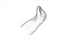 Coyacris brevipennis (Ronderos, 1979): Fig. 4. male cercus. (Otu).