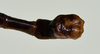 CollectionObject 1560956; USNM(SF IMPORT DUPLICATE) 7347, 4694a9f3-df5d-4c96-bbbc-33bf272a8dd3: copyright USNM, Washington. male Stratocles multilineatus: end of abdomen, dorsal view (holotype). (CollectionObject).