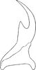Stylus: Stylus. (Observation).