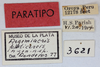 CollectionObject 1514357; d97b961b-5bc8-4338-be16-4b400a5e3159, MLP3621/4: labels (paratype). (CollectionObject).