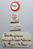 CollectionObject 1501029; 6aacdea8-4bdb-4860-84e6-e1590dd23ada: labels (holotype). (CollectionObject).