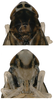 Head on Arboridia (Arborifera) changlingensis Jiang, Luo & Song, 2021: head and thorax, dorsal view; face. (Observation).