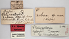 CollectionObject 1863281; f38dd2b0-261c-4b80-adae-6e6c08e9b30f: (CollectionObject).