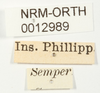 CollectionObject 1574539; NHRS NRM-ORTH 12989, 82bfb94c-2378-4f4b-8df9-b33689471b06: labels. (CollectionObject).