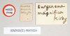 CollectionObject 1558764; NHMUK(SF IMPORT DUPLICATE) 845026, 14cbf547-37fc-464b-9a0f-319475a10c0f: copyright Natural History Museum, London. female, data labels of synonym Eurycnema magnifica (holotype). (CollectionObject).