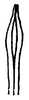 Aedeagus, dorsal view: !! display not done !! on Neocoelidia romantica Knull, 1942: Ventral process of aedeagus, dorsal view. (Observation).