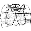 Abdomen, sternal apodemes, ventral view on Borulla gracilis Dworakowska, Sohi & Viraktamath, 1980: Abdomen, sternal apodemes, ventral view. (Observation).