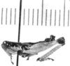 CollectionObject 1524294; 4163aa57-4505-4665-8f73-5abed99d9499: male, lateral view (holotype). (CollectionObject).