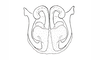 Baeacris talamancensis Rowell & Carbonell, 1977: Fig. 22. male genitalia, caudal view. (Otu).