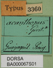 CollectionObject 1501107; f63263fe-e308-4178-ad78-c72271cbff57, DORSA BA000067S01: labels (holotype). (CollectionObject).