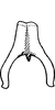 Connective on Ahmedra distincta Dworakowska & Viraktamath, 1979: Connective (A. distincta Dwor. & Virakt.). (Observation).