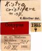 CollectionObject 1505057; 6057451a-b069-4f50-b625-1119b7a15d2f: labels (syntype). (CollectionObject).