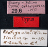 CollectionObject 1503572; b23dff8c-6456-4101-a733-2a483abb56ab: labels (syntype). (CollectionObject).