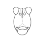 Hovacris undulata Rehn, 1930: Plate 18, Fig. 6 (after type). female face. (Otu).