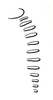 Bullacris unicolor (Linnaeus, 1758): Fig. 8.7. abdominal stridulatory ridges (semi-schematic). (Otu).