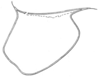 Hetaira (Atopana) varia (Walker, 1869): Fig. 81 L. male pronotum, lateral view (neoallotype). (Otu).