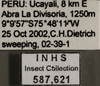 Other on Catagonalia lunata (Signoret, 1854): Labels. Labels for the lighter colored specimen. (Observation).