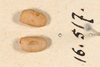CollectionObject 1560948; NMW 162, 1925b228-acf7-47f2-be95-36f305dba647: copyright NMW, Vienna. Eggs. (CollectionObject).