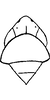 Head: !! display not done !! on Limassolla (Limassolla) varians (Ramakrishnan & Menon, 1972): Head and thorax. (Observation).