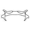 Phaeoparia lineaalba lineaalba (Linnaeus, 1764): Fig. 60F. epiphallus, dorsal view. (Otu).