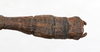 CollectionObject 1560414; fd053052-1efb-4970-be40-8e878404e646: copyright MHNG Geneva. male: end of abdomen, dorsal view (holotype). (CollectionObject).