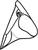 Nymph: (Observation).