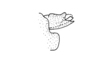 Rhabdophilacris curtipennis Descamps, 1976: Fig. 64. end of phallic complex, lateral view. (Otu).