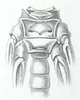 Pseudophyllus neriifolius (Lichtenstein, 1796): Pl. 1, Fig. 7 b. sternum. (Otu).