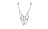 Cryptacris costaricensis Descamps & Rowell, 1984: Fig. 9. female abdomen tip, ventral view. (Otu).