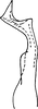 Stylus: Stylus. (Observation).