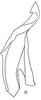 Stylus: !! display not done !! on Latinocesa longicauda (Oman, 1938): Stylus. (Observation).