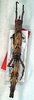 Pseudodatames memorabilis Redtenbacher, 1906: (Otu).
