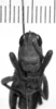 CollectionObject 1535592; 6f17b984-ac79-49f8-9d18-273239104a3c: Image Carbonell, C.S. male, frontal view (holotype of Securigera acutangula). (CollectionObject).