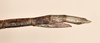 CollectionObject 1556950; 9f2cbcc4-4dea-4813-8016-e8a89e139151: copyright UMO. female: end of abdomen, lateral view (syntype). (CollectionObject).;CollectionObject 1556951; 112d4c60-f82e-4830-a689-d06ca3356b17: copyright UMO. female: end of abdomen, lateral view (syntype). (CollectionObject).