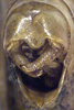 CollectionObject 1532180; b0376eab-055e-4de7-848e-abd7d9c38887: male cerci (holotype). (CollectionObject).