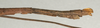 CollectionObject 1559267; 4a3b6abb-b934-428d-9bdf-3f66b818b8fb: copyright NMW, Vienna. male: end of abdomen, lateral view of synonym Diardia vicinissima (syntype). (CollectionObject).;CollectionObject 1559268; 9facfce6-b2e4-46c6-844c-3bb688946a45: copyright NMW, Vienna. male: end of abdomen, lateral view of synonym Diardia vicinissima (syntype). (CollectionObject).