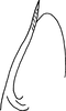 Pygofer, dorsal view: Pygofer, dorsal view. (Observation).