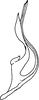 Aedeagus, lateral view: Aedeagus (T. oryzivora Ghauri), lateral view. (Observation).