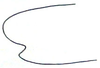 Pyrgacris relictus Descamps, 1968: Fig. 7. male, base of hind femur. (Otu).