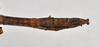 CollectionObject 1558581; 5094e634-967d-4141-83cf-733a7e174ce9: copyright NTUC. male: end of abdomen, dorsal view (syntype). (CollectionObject).;CollectionObject 1558582; 20db8149-d18d-4462-8167-11f604b61075: copyright NTUC. male: end of abdomen, dorsal view (syntype). (CollectionObject).