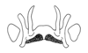 Dendrophilacris machigenga Descamps, 1980: Fig. 146. epiphallus. (Otu).