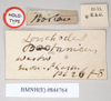 CollectionObject 1559535; NHMUK(SF IMPORT DUPLICATE) 844764, 7d7ca30d-f78a-48f9-a79e-f9a86e4ca1de: copyright Natural History Museum, London. female, data labels (holotype). (CollectionObject).