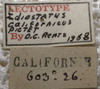 labels (lectotype). Depicts CollectionObject 1505814; 5da603b3-58dc-46a2-b4d2-06c22a516933, a CollectionObject.