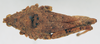 CollectionObject 1572717; 0f946690-2373-4211-9187-de308ace063a: female, dorsal view (syntype of Chrotogonus lameerei). (CollectionObject).