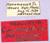 CollectionObject 1499658; 350f3ae7-c142-438b-b53e-2928ca875d03: labels. (CollectionObject).