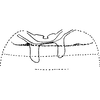 Abdomen, sternal apodemes, ventral view on Cubnara gemmata (Distant, 1918): Sternal apodemes. (Observation).