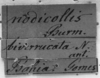 CollectionObject 1574948; 04446631-d9b2-43fd-857e-ef83909b5894: labels. (CollectionObject).
